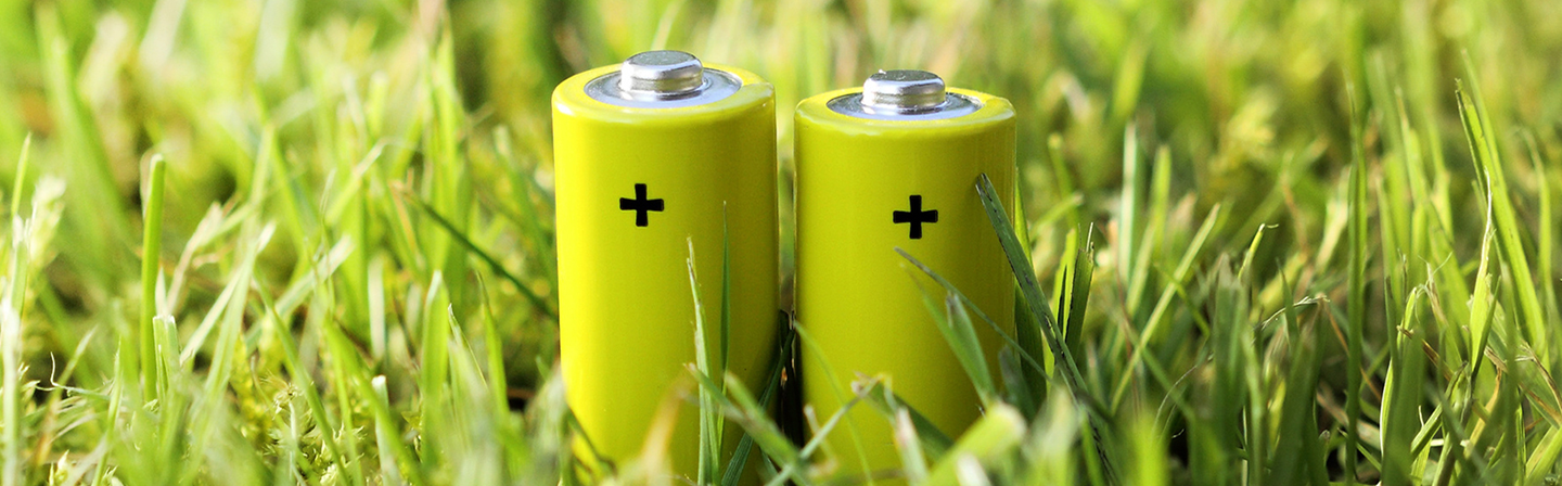 Grüne Batterien auf dem Rasen