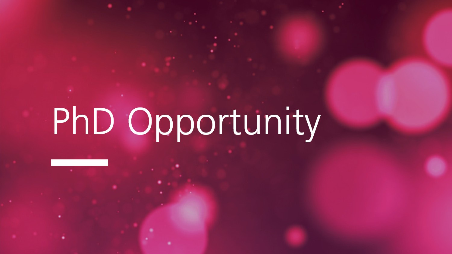 PhD Opportunity
